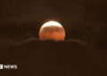 The Moon has a red tinge as it rises above clouds during the partial eclipse over Anaheim, California