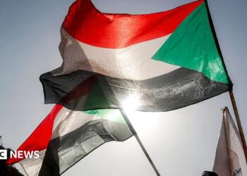 A Sudanese flag flutters in the wind against a backdrop of a bright blue sky - other Sudanese flags are in the background. The sun can be seen shining through the bottom of the flag.