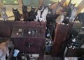 Tacoma police rescued 60 cats and kittens from a 40-foot sailboat anchored off Owens Beach