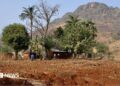 A couple of huts nestled by trees in the distance. behind it is a mountain.