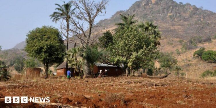 A couple of huts nestled by trees in the distance. behind it is a mountain.