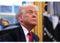 Trump's UFC birthday bash left the South Lawn and the Ellipse in ruins, and a week later, the cleanup plan doesn't even mention half the damage.