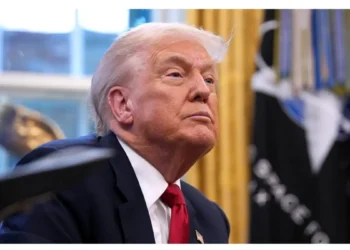 Trump's UFC birthday bash left the South Lawn and the Ellipse in ruins, and a week later, the cleanup plan doesn't even mention half the damage.