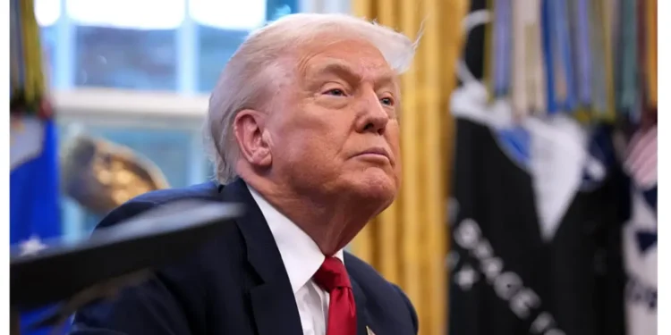 Trump's UFC birthday bash left the South Lawn and the Ellipse in ruins, and a week later, the cleanup plan doesn't even mention half the damage.