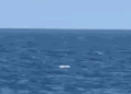 Romanian naval forces destroy two suspected Russian Gerbera drones over the Black Sea