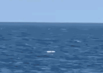 Romanian naval forces destroy two suspected Russian Gerbera drones over the Black Sea