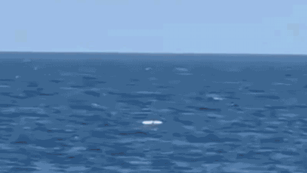 Romanian naval forces destroy two suspected Russian Gerbera drones over the Black Sea