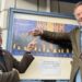 Two men in their 50s either side of a poster for The Wicker Man outside a cinema. Dominic, on the left, is in a tweed suit and has glasses and thick hair. Justin (right) is in a cord suit and has a beard. They are smiling and pointing at the poster.