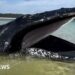 A humpback whale in a close up stranded in shallow water.