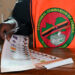 General elections in Zambia
