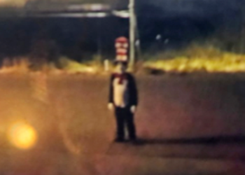 Cat in the Hat figure spotted outside at night