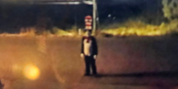 Cat in the Hat figure spotted outside at night
