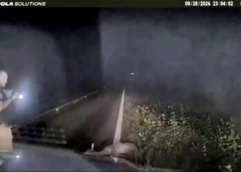 A deer lies motionless on a roadside as a deputy approaches.