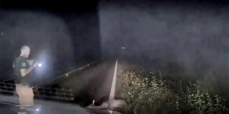 A deer lies motionless on a roadside as a deputy approaches.