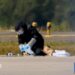 A blurred image of a man defusing a bomb on an airport runway
