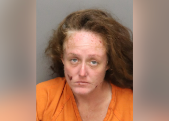 Booking photo of Eleanor Crawford for Florida gas station fire attack