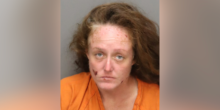 Booking photo of Eleanor Crawford for Florida gas station fire attack