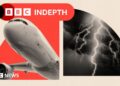 BBC InDepth