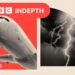 BBC InDepth