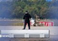 Close-up of orangutan's eyes