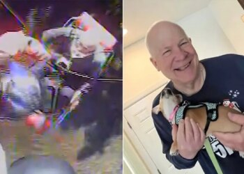 split photo of craig berg smiling and officials hoisting man into helicopter