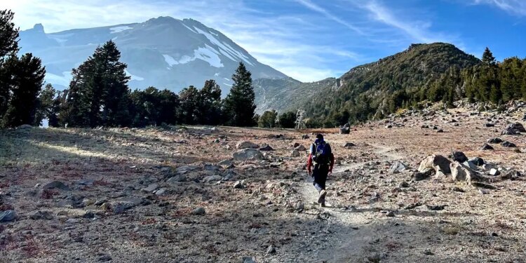A rescuer hikes along rough terrain and rocks toward Mount Shasta