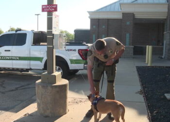 Owasso adds 24/7 pet microchip stations to help lost animals get home faster