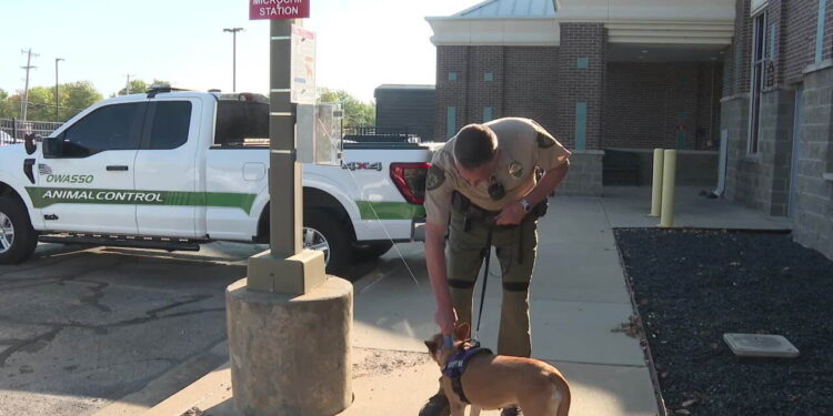 Owasso adds 24/7 pet microchip stations to help lost animals get home faster