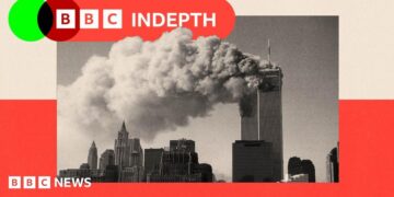 BBC InDepth