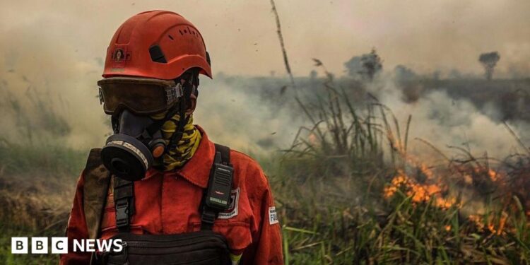 A person in orange firefighting uniform, helmet and gas mask stands amid smoke in front of flaming grass