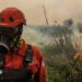 A person in orange firefighting uniform, helmet and gas mask stands amid smoke in front of flaming grass