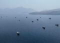 FILE PHOTO: A drone view shows vessels near the Strait of Hormuz, as seen from Musandam
