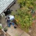 A suspect aims a rifle skyward outside a rural house
