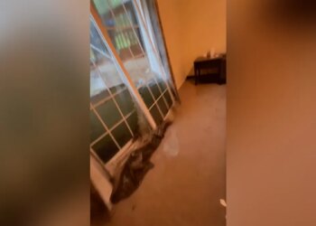 french doors on verge of breaking