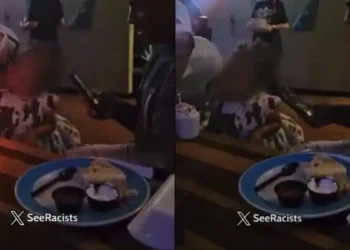 ‘Unpleasant Interaction’: White Restaurant Owner Kisses Black Baby, Blows Out Her Birthday Candle in Viral Video Now Drawing Police Attention