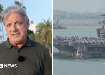 Split image, on the left is a man standing in front of palm trees and a blue sky. On the right is the USS Abraham Lincoln near a port